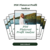 PDF Profil ANalyse